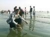 Coxbazar155